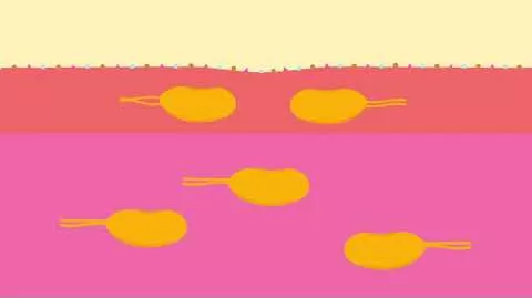 Video om AQUALIBRA Filmdrasjerte tabletter, 60 stk