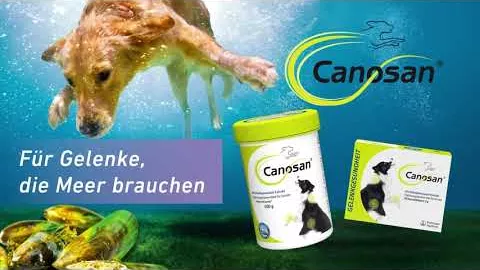 Video om CANOSAN Tyggetabletter vet., 30 stk