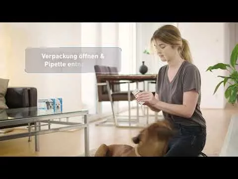 Video om FRONTLINE Flekk på H 20 veterinær.Løsning, 6 stk