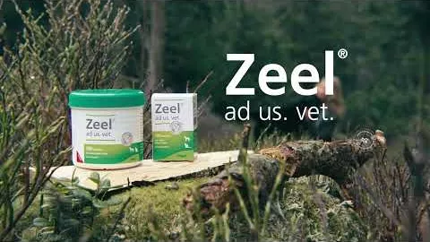 Video om Zeel annonserer oss.veterinær.Tabletter, 500 stk