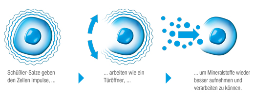 BIOCHEMIE DHU 3 Ferrum phosphoricum D 12 tabletter, 200 stk
