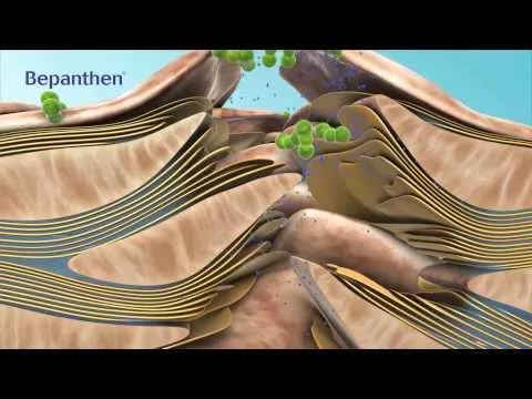 Video om Bepanthen Sensiderm krem, 20 g