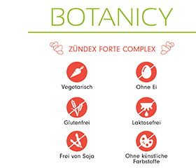 ZÜNDEX forte Complex med OptiMSM-kapsler, 60 kapsler