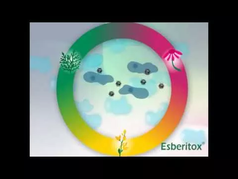 Video om Esberitox® Compact for forkjølelse, 60 stk