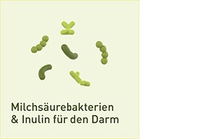 NUPURE probaflor Probiotics for Intestinal Restoration Kps, 90 stk