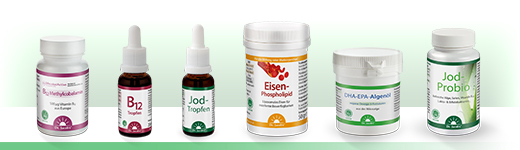 B12 METHYLCOBALAMIN Dr. Jacobs sugetabletter, 60 stk