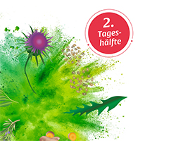 BASEN AKTIV Te No.2 Løvetann økologisk Salus, 40 stk