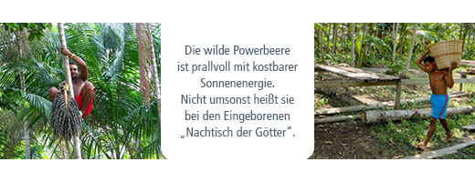 ACAI 100 % økologisk pulver uten bærestoffer, 80 g