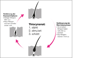 THIOCYN Øyenvippeserum, 8 ml