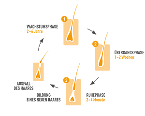 BIO-H-TIN Hair Essentials mikronæringskapsler, 90 stk