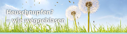 AZEDIL 1 mg/ml nesespray, oppløsning, 5 ml
