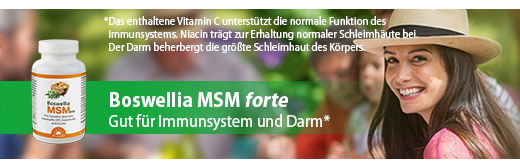 BOSWELLIA MSM forte Dr. Jacobs tabletter, 90 stk
