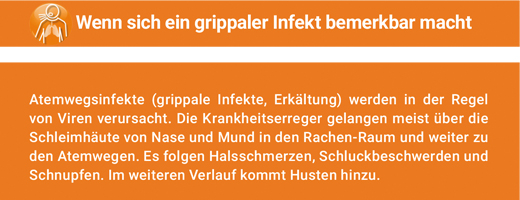 ANGOCIN Anti Infekt N Filmdrasjerte tabletter, 200 kapsler