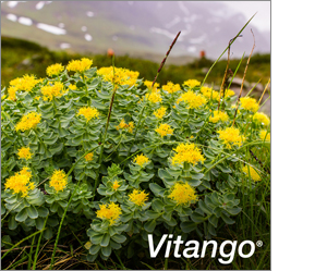 VITANGO Filmdrasjerte tabletter, 30 stk