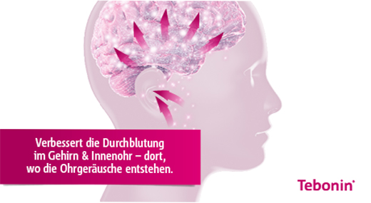 TEBONIN intensive 120 mg filmdrasjerte tabletter, 200 stk