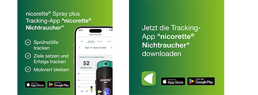 NICORETTE Frukt & Mynte Spray 1 mg/spray NFC, 1 stk