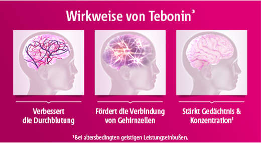 TEBONIN konzent 240 mg filmdrasjerte tabletter, 120 stk