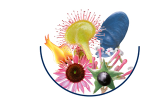METAGLOBIFLU Globuler mot forkjølelse, 10 g