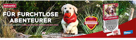 ADVANTIX Spot-on-løsning for påføring på hund 40-60 kg, 4X6,0 ml