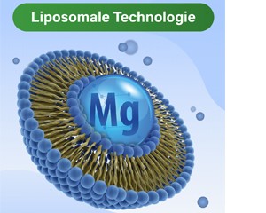 GLYCOWOHL vital liposomal magnesium høydosekapsler, 120 stk