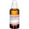 CORIANDRUM sativum mor tinktur D 1, 50 ml