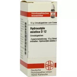 HYDROCOTYLE asiatica D 12 kuler, 10 g