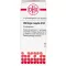 USTILAGO MAYDIS D 12 kuler, 10 g