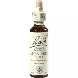 BACHBLÜTEN Kastanjeknopp-dråper, 20 ml
