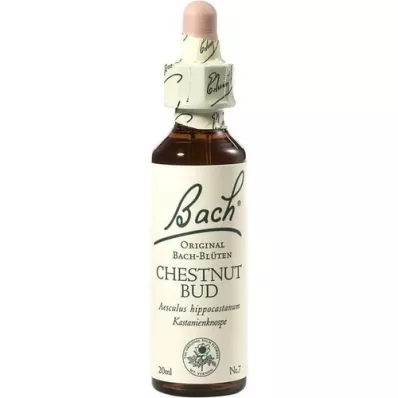 BACHBLÜTEN Kastanjeknopp-dråper, 20 ml