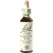 BACHBLÜTEN Kastanjeknopp-dråper, 20 ml