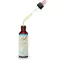 BACHBLÜTEN Sikoriddråper, 20 ml