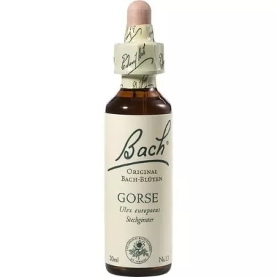BACHBLÜTEN Gorse dråper, 20 ml BACHBLÜTEN Gorse dråper, 20 ml