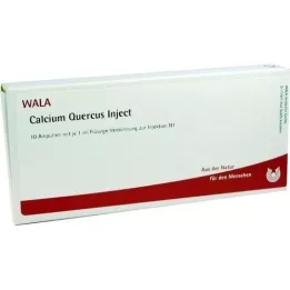 CALCIUM QUERCUS Injiser ampuller, 10X1 ml