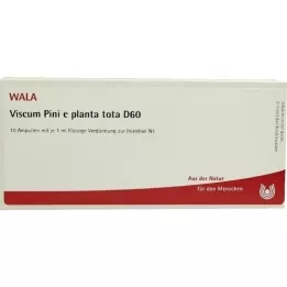 VISCUM PINI e planta tota D 60 ampuller, 10X1 ml