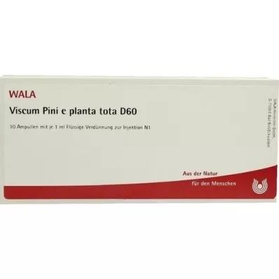 VISCUM PINI e planta tota D 60 ampuller, 10X1 ml VISCUM PINI e planta tota D 60 ampuller, 10X1 ml