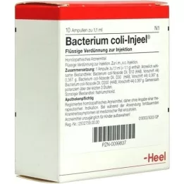 BACTERIUM COLI Injeel ampuller, 10 stk