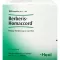 BERBERIS HOMACCORD Ampuller, 100 stk