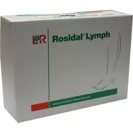 ROSIDAL Lymfeben stort, 1 stk