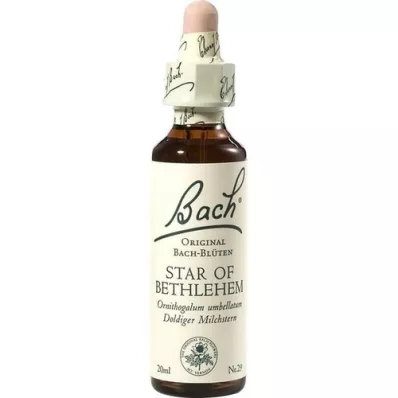 BACHBLÜTEN Betlehemsstjerne-dråper, 20 ml BACHBLÜTEN Betlehemsstjerne-dråper, 20 ml
