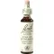 BACHBLÜTEN Betlehemsstjerne-dråper, 20 ml