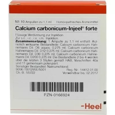 CALCIUM CARBONICUM INJEEL forte ampuller, 10 stk CALCIUM CARBONICUM INJEEL forte ampuller, 10 stk