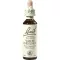 BACHBLÜTEN Hvite kastanjedråper, 20 ml