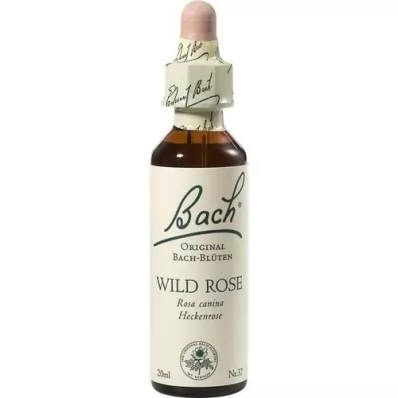 BACHBLÜTEN Villrosedråper, 20 ml BACHBLÜTEN Villrosedråper, 20 ml