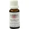CERES Absinthium mor tinktur, 20 ml