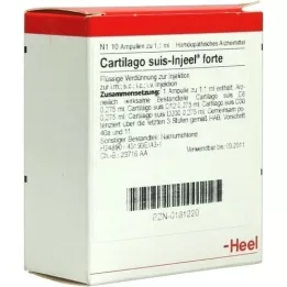 CARTILAGO suis Injeel forte ampuller, 10 stk