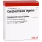 CEREBRUM SUIS Injeel ampuller, 10 stk