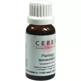 CERES Plantago lanceolata mor tinktur, 20 ml