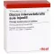 DISCUS INTERVERTEBRALIS suis Injeel ampuller, 10 stk
