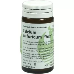 CALCIUM SULFURICUM PHCP Kuler, 20 g