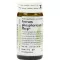 FERRUM PHOSPHORICUM S Phcp-kuler, 20 g